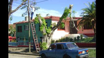 Rehabilitación del arbolado de la ciudad de Santiago de Cuba