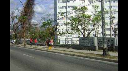 Rehabilitación del arbolado y las áreas verdes de la ciudad de Santiago de Cuba