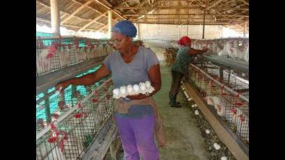 Combinado Avícola Nacional