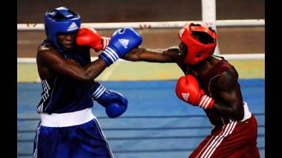 Boxeo 
