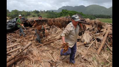 Daños causados por las inundaciones