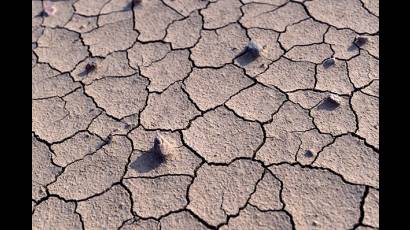 Desertificación en Chile