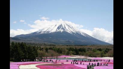 Monte Fuji