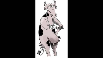 Animales sueltos en la vía