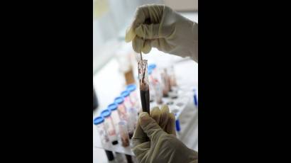 Se han analizado más de 250 muestras de sangre