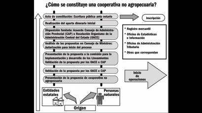 Cooperativa no agropecuaria