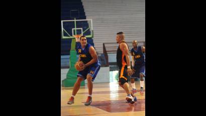 Liga Superior de Baloncesto