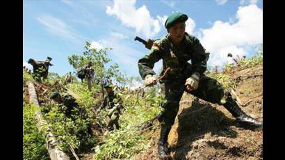 Plantaciones ilegales de coca