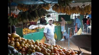Nuevas formas de comercialización agrícola