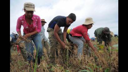 Jóvenes en la agricultura