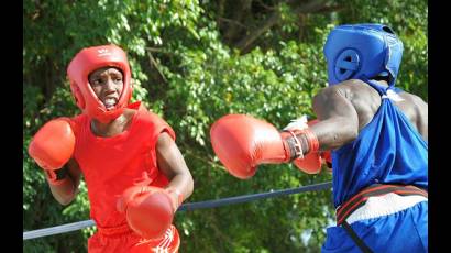 Copa de boxeo escolar