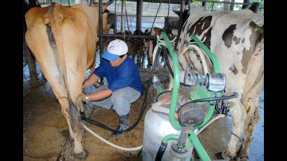 Estaciones de leche