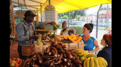 Mercado de los Pinos