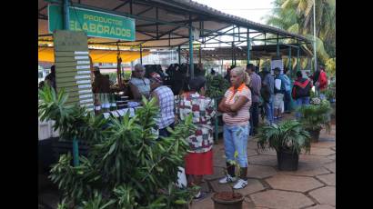 Cooperativas no agropecuarias