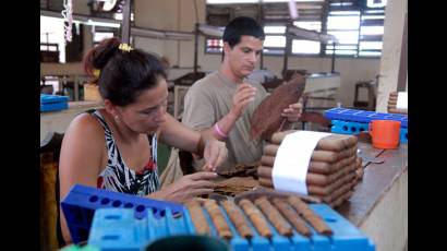 Trabajadores cubanos