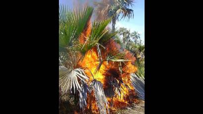 Incendio en Camagüey