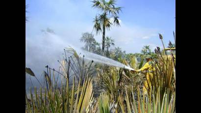 Incendio forestal en Tres Puertas