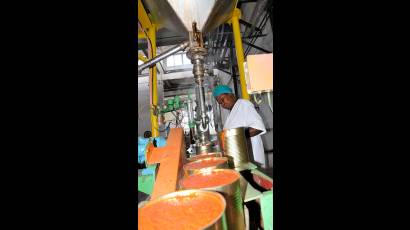 Producción de tomate