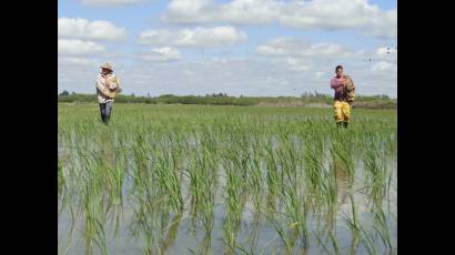Jóvenes acogen beneficios del Decreto Ley 300