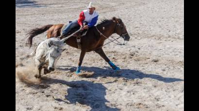 Campeonato Nacional e Internacional de Rodeo en Fiagrop 2014