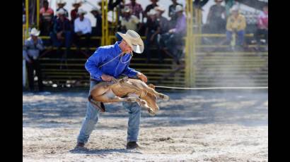 Campeonato de Rodeo Nacional e Internacional en Fiagrop 2014