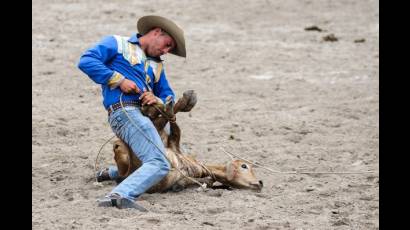 Campeonato de Rodeo Nacional e Internacional en Fiagrop 2014