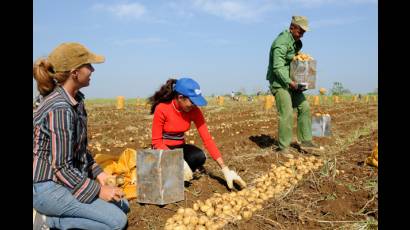  XV Movilización Agrícola