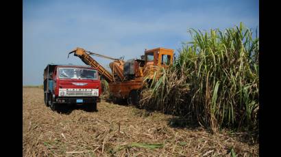 Agricultura cubana