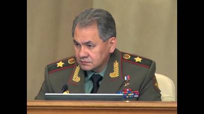 Sergei Shoigu