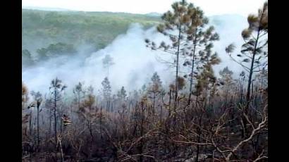 Incendio en San Juan y Martínez