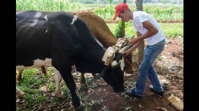  Primera Feria Nacional Docente Agropecuaria y Azucarera