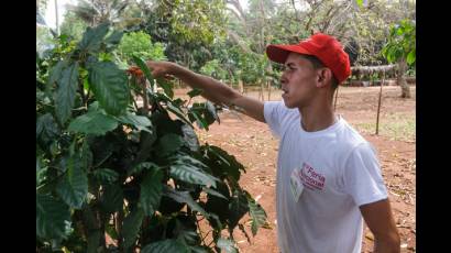 Primera Feria Nacional Docente Agropecuaria y Azucarera