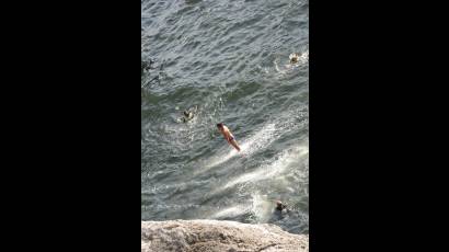 Clavado espectacular en el Torneo Red Bull Cliff Diving 2014