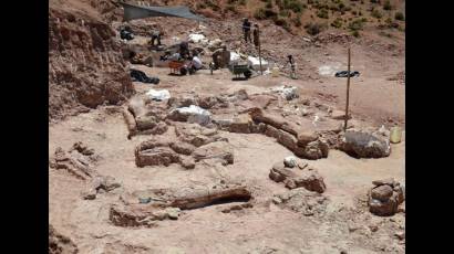 Restos de dinosaurio descubierto en Argentina