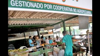 Cooperativas no agropecuarias