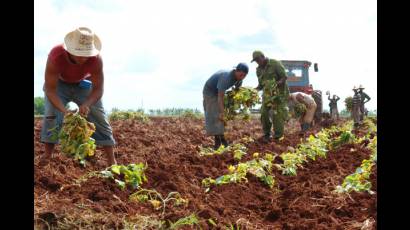 Trabajadores de la agricultura 