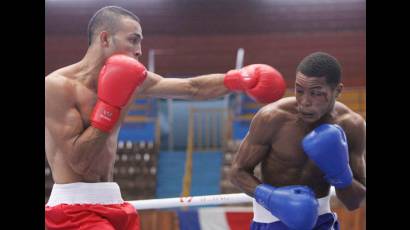 Serie Nacional de Boxeo