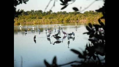 Parque Nacional Caguanes