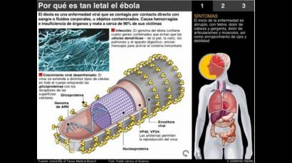 Infografía ébola
