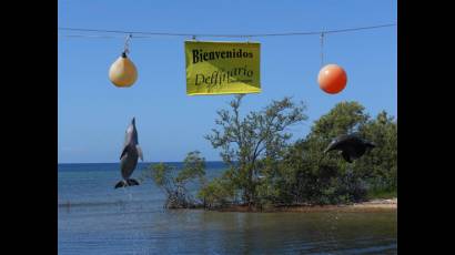 Delfinario de Cienfuegos