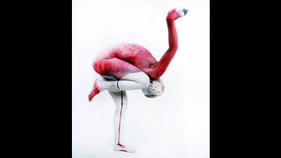Arte con el cuerpo