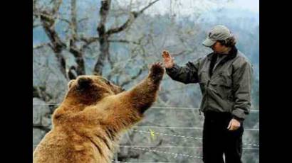 Los animales también saludan y muestran afecto 