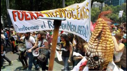 Protestas en México contra la trasnacional Monsanto