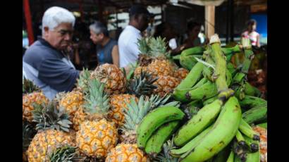 Comercialización 