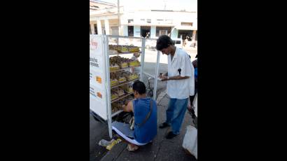 Trabajadores por cuenta propia 