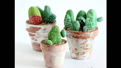Cactus de piedra