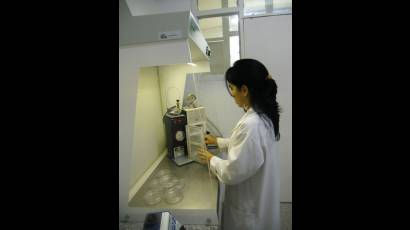 Biotecnología