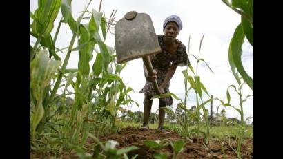 Agricultura en Sudáfrica