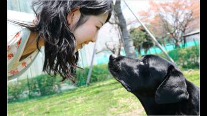 El secreto del amor canino