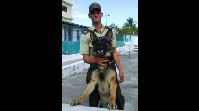 Perros policías